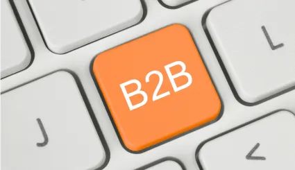 Koszt platformy B2B